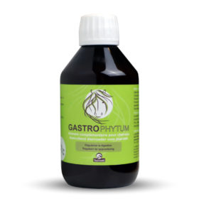 Gastrophytum Regularise la digestion des chevaux